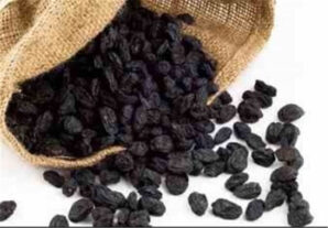 Maviz Iranian Raisin