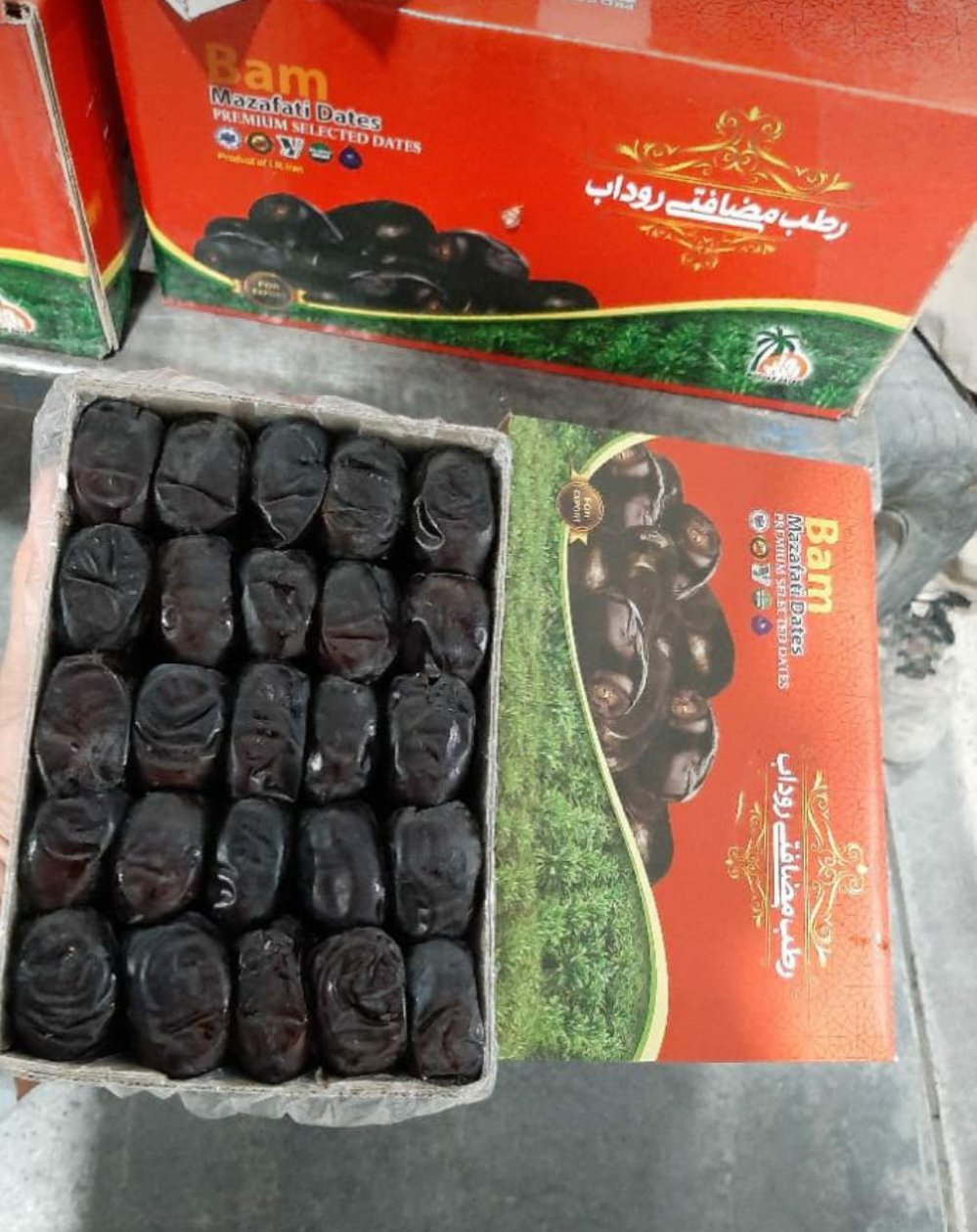 <strong>Exported fresh mazafati date</strong>